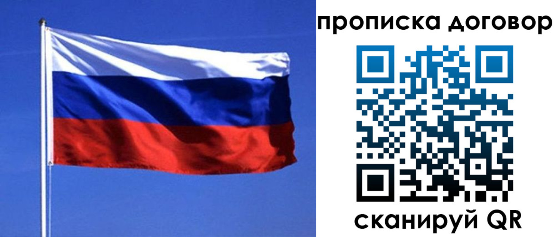 прописка поиск в Новоульяновске